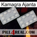 Kamagra Ajanta 17